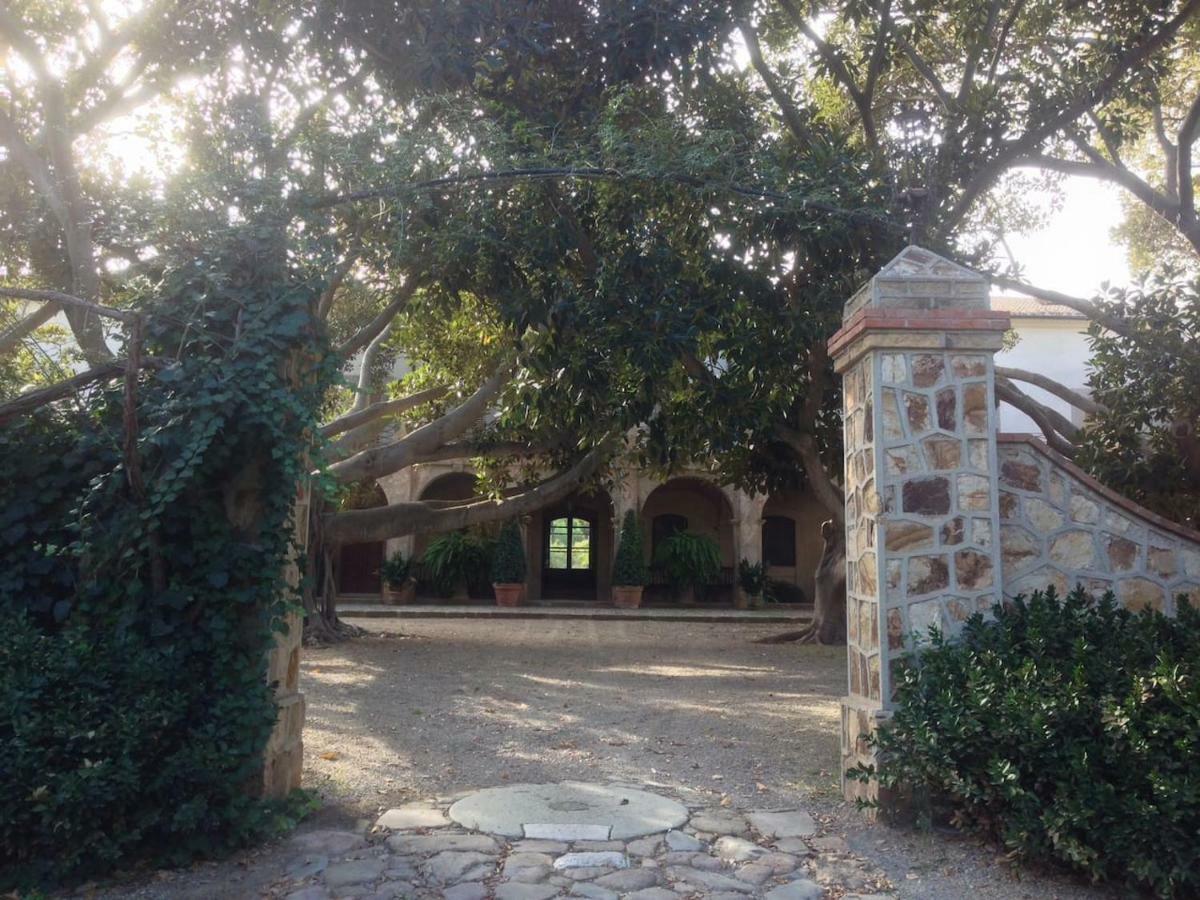 Suite A Villa D'Orri Сарок Екстериор снимка